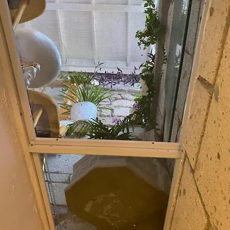 Lamur * 알라카티